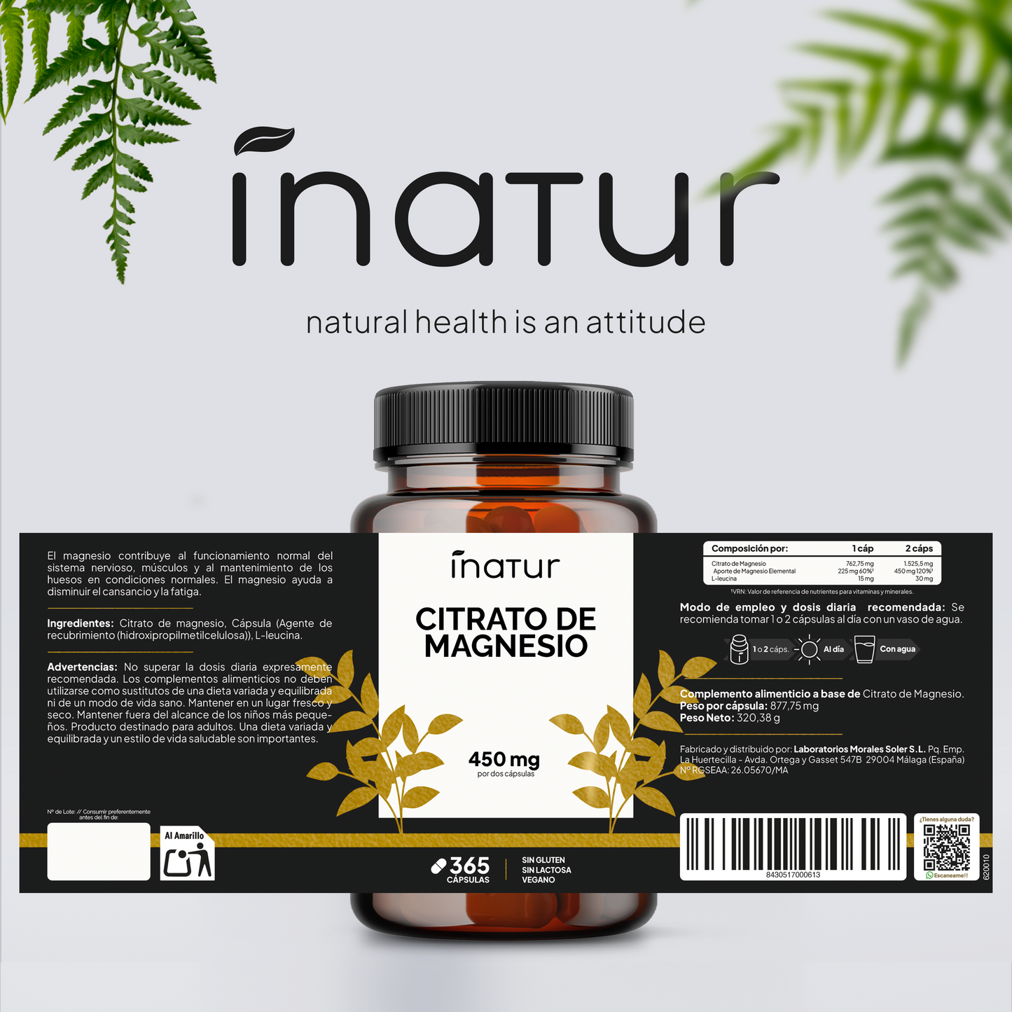 Citrato de Magnesio 450 mg