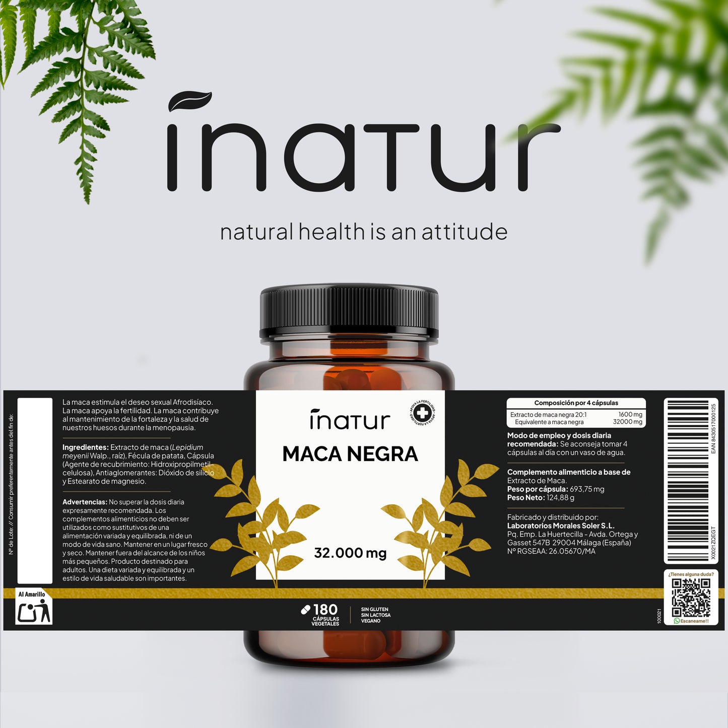 Maca Negra