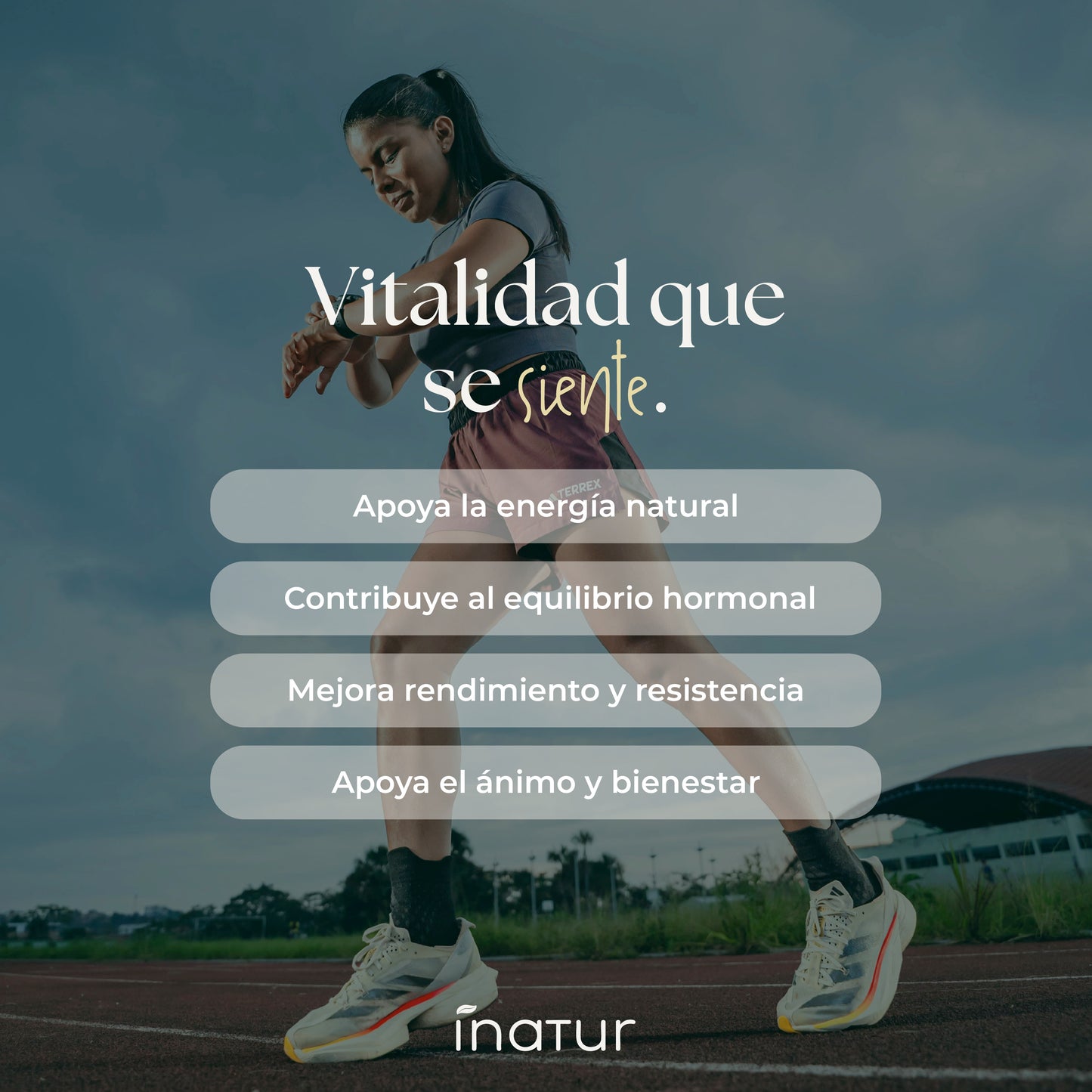 Maca Negra